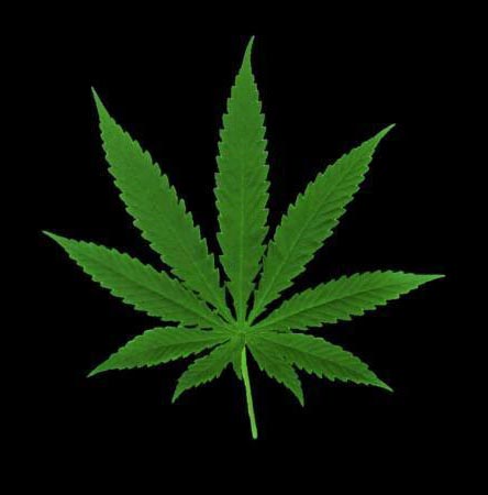 emergenza-spaccio-di-marijuana-arrestato-cittadino-del-gambia0