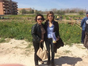 IMG_1733 (1)