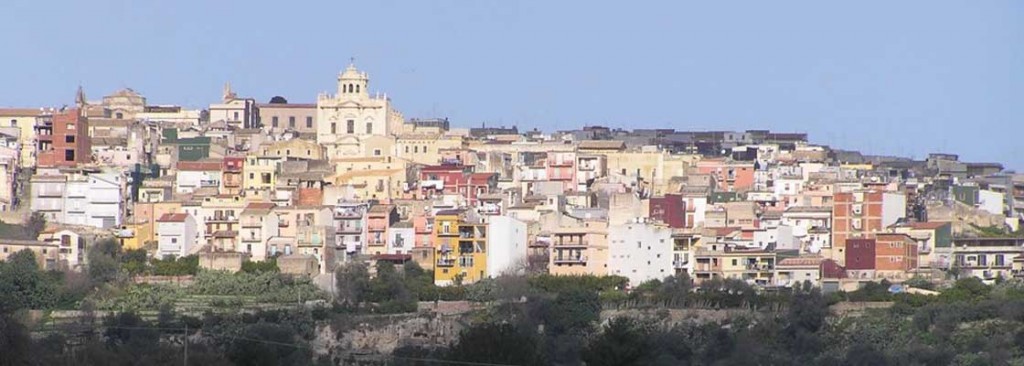 sortino