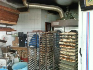 Foto2 (2)
