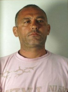 amato alfio