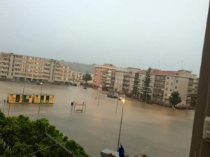 augusta alluvionata