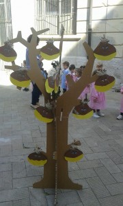 albero