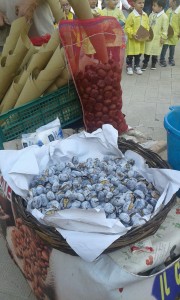 castagne