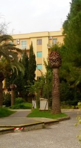 museo palme