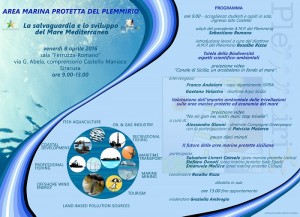 La salvaguardia e lo sviluppo del mar Mediterraneo, 8 aprile