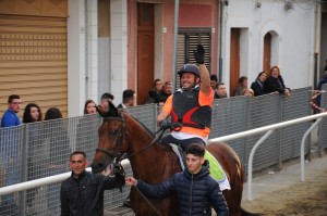 cavallo vincitore