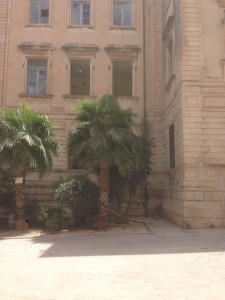 2016-07-16-PHOTO-00000150