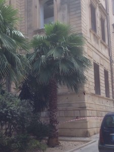 2016-07-16-PHOTO-00000159